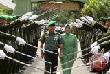 Kepala Staf Kodam Iskandar Muda yang baru, Brigadir Jenderal TNI Achmad Daniel Chardin bersama istri disambut dengan tradisi Pedang Pora saat tiba di Banda Aceh, Selasa (1/11). Kasdam Iskadar Muda yang baru, Brigjen TNI Achmad Daniel Chardin menggantikan  pejabat lama Brigjen TNI Moch Fachrudin. ANTARA Aceh/Ampelsa/16