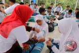 Relawan bersama dokter kecil memberikan pertolongan kepada seorang pelajar yang mengalami luka pada tangannya seusai dievakuasi   di gedung penyelamatan tsunami,  Banda Aceh, Jumat (4/11). Tsunami drill dalam rangka memperingati Hari Kesiapsiagaan Tsunami Dunia tanggal 5 November dan sekaligus memperingati 12 tahun bencana gempa dan tsunami Aceh pada 26 Desember 2004 lalu tersebut,  melibatkan seratusan pelajar dari sejumlah sekolah  betujuan meningkatkan kesiagaan dan mengurangi resiko bencana.ANTARA Aceh/Ampelsa/16