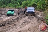 Sebuah mobil terperangkap di jalan berkubang lumpur di kilometer 46 Lenggo, Kabupaten Kutai Timur, Rabu (2/11). Jalan rusak di kawasan Lenggu, Kabupaten Kutai Timur, sepanjang 13 kilometer tersebut merupakan salah salah jalur distribusi kebutuhan pokok ke pedalaman dan pelosok di Kabupaten Berau. (Amirullah/ANTARA Kaltim)  
