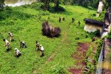 Komunitas pecinta sejarah Roode Burg Soerabaia menggelar aksi teatrikal perjuangan Arek Suroboyo dalam mempertahankan benteng dari gempuran tentara Inggris saat 'Historical Re-Enactment Photo Contest' di Benteng Kedung Cowek, Surabaya, Jawa Timur, Sabtu (5/11). Kegiatan yang digelar oleh komunitas pecinta sejarah Roode Burg Soerabaia bersama sejumlah pelatih Sekolah Komando Pasukan Katak (Sekopaska) TNI AL di kawasan bangunan bersejarah tersebut dalam rangka memperingati Hari Pahlawan.Antara Jatim/Abdullah Rifai/zk/16.