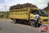 Truk Muatan Berlebih Leluasa Lalu-lalang di Mesuji