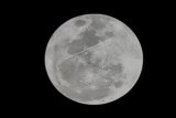 Fenomena Supermoon tampak dari Laboratorium terbuka BMKG Serang, Banten, Senin (14/11). Fenomena supermoon terjadi saat bulan mencapai titik terdekat dengan bumi dan merupakan fenomena supermoon terbesar dalam 68 tahun terakhir. ANTARA FOTO/Asep Fathulrahman