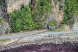 Gempa guncang Selandia Baru dua hari berturut-turut