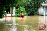 Ini 2 Kecamatan Barsel Yang Berpotensi Banjir Pada Februari 