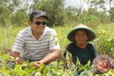 ILO Promosikan Kerja Layak kepada Petani NTT