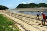 Wisatawan menikmati suasana Pantai Clungup di Malang, Jawa Timur, Kamis (24/11). Pantai Clungup yang memiliki bentuk pesisir menjorok ke daratan menyerupai lidah dengan fenomena air pasang-surut merupakan salah satu destinasi wisata yang diminati wisatawan. Antara Jatim/Destyan Sujarwoko/zk/16