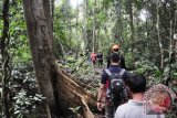 Tim Ekspedisi kart Merabu menerobos kawasan hutan hujan tropis menuju Goa Bloyot yang menyimpan tapak-tapak tangan yang diyakini berusia lebih 4.000 tahun di Kampung Merabu, Kecamatan kelay, Kabupaten Berau.      Amirullah/ANTARA