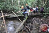 Tim Ekspedisi Kars Merabu meniti jembatan menuju Goa Bloyot yang 
menyimpan berbagai situs prasejarah yang terdapat di Kampung Merabu, Kecamatan Kelay, Kabupaten Berau.     (Amirullah/ANTARA)