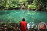 Tim Ekspedisi Karst Merabu melihat tapak-tapak tangan dan gambar prasejarah yang diyakini berusia lebih 4.000 tahun yang terdapat 
pada dinding dan langit-langit Goa Bloyot di Kampung Merabu, 
Kecamatan kelay, Kabupaten Berau. (ANTARA Kaltim/Amirullah)