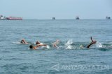 Sejumlah atlet yunior Persatuan Olahraga Selam Seluruh Indonesia (Possi) melakukan renang di Selat Bali, Banyuwangi, Jawa Timur, Rabu (30/11). Sebanyak 12 atlet yunior Possi ikut memeriahkan Festival Perahu Layar dengan berenang melintasi Selat Bali. Antara jatim/Seno/zk/16.