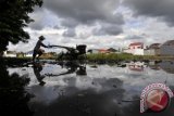 SAWAH TADAH HUJAN