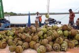 Pekerja menurunkan tabung elpiji dari atas geladak kapal motor nelayan di Pelabuhan Gresik Putih, Sumenep, Madura Jawa Timur, Selasa (06/12). Di wilayah Madura kepulauan harga eceran elpiji bersubsidi ukuran tiga (3) kilogram dijual antara Rp20 ribu hingga Rp25 ribu per tabung, lebih tinggi dibanding harga normal di wilayah Madura daratan yang dipatok maksimal Rp17 ribu sebagai dampak tambahan jasa angkut kapal penyeberangan sebesar Rp1.000-Rp2.500 per-tabung. Antara Jatim/Destyan Sujarwoko/zk/16