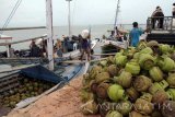 Pekerja menumpuk tabung elpiji di tepi dermaga Pelabuhan Gresik Putih, Sumenep, Madura Jawa Timur, Selasa (06/12). Di wilayah Madura kepulauan harga eceran elpiji bersubsidi ukuran tiga (3) kilogram dijual antara Rp20 ribu hingga Rp25 ribu per tabung, lebih tinggi dibanding harga normal di wilayah Madura daratan yang dipatok maksimal Rp17 ribu sebagai dampak tambahan jasa angkut kapal penyeberangan sebesar Rp1.000-Rp2.500 per-tabung. Antara Jatim/Destyan Sujarwoko/zk/16