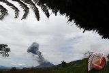 Material debu vulkanik menyembur dari Gunung Sinabung ketika terjadi erupsi terlihat dari Berastagi, Karo, Sumatera Utara, Senin (12/12). Gunung Sinabung yang masih berstatus Awas (Level IV) itu tetap masih meningkat ditandai dengan awan panas. ANTARA SUMUT/Septianda Perdana/16