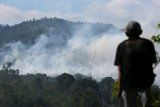 Greenpeace: transparansi data upaya cegah kebakaran hutan