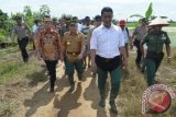 Tahun 2016 Indonesia Tidak Lagi Impor Beras, Ini Kata Menteri Pertanian di Kapuas