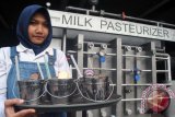 Pramuniaga menunjukkan minuman olahan susu sapi di sebuah restoran Momo Milk, jalan KH. Abdullah Bin Nuh, Kota Bogor, Jawa Barat, Jum'at (16/12). Restoran yang menyajikan makanan dan minuman bersumber dari bahan susu tersebut menggunakan ember mini alumunium sebagai tempat minum layaknya ember susu sapi untuk menarik perhatian pengunjung yang berwisata kuliner ke Kota Bogor. (ANTARA FOTO/Arif Firmansyah/aww/16).
