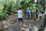 Wisatawan berfoto bersama dengan menhir di Situs Duplang, Desa Kamal, Arjasa, Jember, Jawa Timur, Minggu (18/12). Situs Duplang merupakan situs peninggalan jaman Megalitikum sekitar abad 4 Masehi, yang memiliki beberapa koleksi peninggalan sejarah seperti kubur batu, dolmen, batu kenong, dan menhir. Antara Jatim/Seno/zk/16.