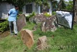 Wisatawan mengamati kubur batu di Situs Duplang, Desa Kamal, Arjasa, Jember, Jawa Timur, Minggu (18/12). Situs Duplang merupakan situs peninggalan jaman Megalitikum sekitar abad 4 Masehi, yang memiliki beberapa koleksi peninggalan sejarah seperti kubur batu, dolmen, batu kenong, dan menhir. Antara Jatim/Seno/zk/16.