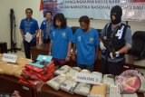 Petugas menggiring tersangka pengedar Ganja berinisial RN dan GR beserta barang bukti saat konfrensi pers di Badan Narkotika Nasional (BNN) Provinsi Bali, Selasa (16/12). BNN membekuk dua orang tersangka beserta barang bukti narkoba jenis Ganja sebanyak 25,5 kg saat menerima paket kiriman dari Sumatera Utara yang diduga akan disebarkan saat pesta tahun baru. ANTARA FOTO/Wira Suryantala/nym/16.