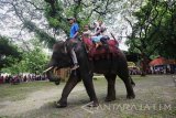 Pengunjung mengunggangi gajah di Kebun Binatang Surabaya, Jawa Timur, Sabtu (24/12). Kunjungan wisatawan pada libur Natal dan Tahun Baru 2017 di Kebun Binatang tersebut ditargetkan mencapai 5.000 hingga 6.000 pengunjung per hari. Antara Jatim/Moch Asim/zk/16