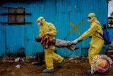 Wah... Uji Coba Vaksin Ebola Berhasil 100 Persen 