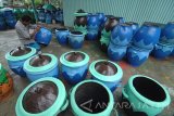 Perajin menyelesaikan pembuatan bak sampah berbahan ban bekas di Desa Tambung, Pamekasan, Jawa Timur, Jumat (30/12). Permintaan bak sampah dari ban bekas yang dijual Rp75 ribu-Rp90 ribu per unit tersebut dalam tiga bulan terakhir naik dari 150 unit per bulan menjadi 400 unit per bulan karena motif dan desain yang dibuat sedemikian rupa. Antara Jatim/Saiful Bahri/zk/16