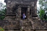 Pengunjung mengamati relief di Candi Badut , Malang, Jawa Timur, Minggu (1/1). Libur tahun baru dimanfaatkan masyarakat dengan mengajak anak-anak mengunjungi candi badut untuk mengenalkan peninggalan purbakala sekaligus berwisata. Antara Jatim/Ari Bowo Sucipto/zk/16.