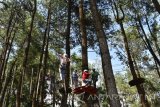 Wisatawan bermain tali rintangan di atas pohon di Mojosemi, Magetan, Jawa Timur, Minggu (1/1). Untuk bisa menikmati permainan uji nyali tersebut, wisatawan membayar biaya Rp80 ribu perorang untuk melintasi 14 rintangan dan Rp50 ribu untuk tujuh rintangan. Antara Jatim/Foto/Siswowidodo/1zk/6