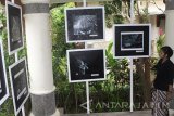 Pengunjung melihat foto yang dipajang dalam Pameran Foto Refleksi Budaya-Hitam Putih 2016 di Taman Indie, Malang, Jawa Timur, Senin (2/17). Pameran foto yang berlangsung selama 15 hari tersebut menampilkan 19 foto hitam putih karya para jurnalis foto yang tergabung dalam Pewarta Foto Indonesia (PFI) Malang. Antara Jatim/Ari Bowo Sucipto/zk/17