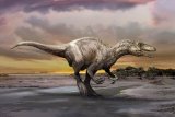 Fosil megaraptor 10 meter penghuni terakhir bumi ditemukan di Argentina
