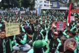 Massa driver GrabBike melakukan unjuk rasa di Kantor Grab Indonesia di Jalan Denpasar, Kuningan, Jakarta, Kamis (5/1). Dalam aksi tersebut mereka meminta perusahaan menaikkan tarif dari Rp 1.500 per kilometer menjadi Rp 2.500 per kilometer, juga meminta perusahaan mempekerjakan lagi driver GrabBike yang diputus kemitraannya karena aksi one day no bit atau tidak beroperasi pada tanggal 16 Desember 2016. ANTARA FOTO/Reno Esnir/wdy/17.