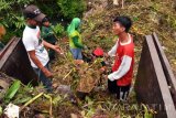 Petugas mengangkut sampah daun  di Rumah Kompos Tenggilis Surabaya, Jumat (6/1). Rumah Kompos tersebut dalam sehari rata-rata menampung  4 Dumptruk atau 6 kubik sampah daun yang diolah menjadi 4 kubik pupuk kompos dan 2 kubik sampah ranting. Antara Jatim/Abdullah Rifai/zk/16