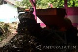 Petugas memilah sampah daun kering di Rumah Kompos Tenggilis Surabaya, Jumat (6/1). Rumah Kompos tersebut dalam sehari rata-rata menampung  4 Dumptruk atau 6 kubik sampah daun yang diolah menjadi 4 kubik pupuk kompos dan 2 kubik sampah ranting. Antara Jatim/Abdullah Rifai/zk/16