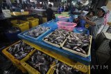 Pedagang menata ikan bandeng di Pasar Pabean, Surabaya, Jawa Timur, Selasa (10/1). Menurut pedagang, harga ikan budidaya seperti ikan bandeng naik dari Rp20.000 per kilogram menjadi Rp23.000 per kilogram sedangkan untuk ikan mujair turun dari Rp25.000 per kilogram menjadi Rp24.000 per kilogram. Antara Jatim/Moch Asim/zk/17