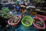 Pekerja menyortir ikan mujair di Pasar Pabean, Surabaya, Jawa Timur, Selasa (10/1). Menurut pedagang, harga ikan budidaya seperti ikan bandeng naik dari Rp20.000 per kilogram menjadi Rp23.000 per kilogram sedangkan untuk ikan mujair turun dari Rp25.000 per kilogram menjadi Rp24.000 per kilogram. Antara Jatim/Moch Asim/zk/17