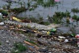 Seekor buaya berjemur di antara tumpukan sampah di Sungai Palu, Palu, Sulawesi Tengah, Selasa (10/1). Berdasarkan laporan yang dikeluarkan Direktorat Jenderal Pengendalian Pencemaran dan Kerusakan Lingkungan Kementerian Lingkungan Hidup dan Kehutanan (KLHK), pada tahun 2015 hampir 68 persen atau mayoritas mutu air sungai di 33 provinsi di Indonesia dalam status tercemar berat. Sumber utama pencemar air sungai di Indonesia sebagian besar berasal dari limbah domestik atau rumah tangga. ANTARA FOTO/Mohamad Hamzah/kye/17.