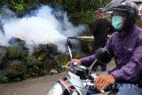 Seorang warga mengenakan masker ketika petugas melakukan pengasapan atau fogging di Wonoayu, Sidoarjo, Jawa Timur, Senin (16/1). Pengasapan tersebut dilakukan untuk memberantas perkembangbiakan nyamuk Aedes Aegypti yang membawa virus dengue penyebab penyakit demam berdarah. Antara Jatim/Umarul Faruq/zk/17