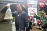 Wali Kota Bogor Bima Arya (kiri) saat menebar bibit ikan mata merah di aliran sungai Ciliwung, Kelurahan Sempur, Kota Bogor, Jawa Barat. Penebaran tiga ribu ikan yang merupakan ikan endemik sungai Ciliwung tersebut selain untuk mengkampanyekan larangan penggunaan tuba dan setrum ikan di sungai juga untuk menjaga dan menyelamatkan populasi ikan mata merah.  (ANTARA FOTO/Arif Firmansyah/Dok).