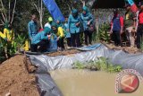 Wakil Ketua TP PKK Kalsel Hj. Rosdiawati Rudy Resnawan bersama Ketua TP PKK Tapin Hj Ratna Ellyani Arifin Arphan melepas 500 ekor lebih bibit ikan lele ke kolam milik Rusdiana penerima bedah rumah di desa Waringin Kecamatan Bakarangan Kalsel. Rantau, Jumat (20/1/17). Foto:Antaranews Kalsel/M.H.Asyari/G.