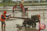 Petani OKU butuh tambahan mesin pembajak sawah