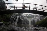 Wisatawan melakukan foto selfie dengan latar belakang Air Terjun Belawan di Bondowoso, Jawa Timur, Jumat (27/1). Air terjun yang berada di kawasan perkebunan kopi Belawan tersebut merupakan salah satu destinasi yang sering dikunjungi untuk berwisata. Antara Jatim/Budi Candra Setya/zk/17