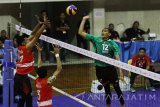 Pebola voli Surabaya Bhayangkara Samator Rivan Nurmulki (kanan) melakukan smash yang berusaha ditahan pebola voli Jakarta Pertamina Energi Anto Bertyawan (tengah) dan Muhammad Ridwan (kiri) dalam pertandingan Proliga 2017 Seri I Putaran I di GOR Ken Arok, Malang, Jawa Timur, Sabtu (28/1). Surabaya Bhayangkara Samator mengalahkan Jakarta Pertamina Energi dengan skor akhir 3-1 (25-19, 25-19, 12-25, 25-19). Antara Jatim/Ari Bowo Sucipto/zk/17