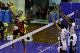 Pebola voli tim Batam Sindo BVN Agus Siswoyo (kiri) melakukan smash yang berusaha ditahan pevoli tim Palembang Bank Sumsel Babel Dhani Anggriawan (tengah) dan Carlos Alberto Araujo (kanan) dalam pertandingan Proliga 2017 Seri I Putaran I di GOR Ken Arok, Malang, Jawa Timur, Minggu (29/1). Tim Palembang Bank Sumsel Babel menaklukkan tim Batam Sindo BVN dengan skor 3-0 (25-15, 25-17, 25-17). Antara Jatim/Ari Bowo Sucipto/zk/17