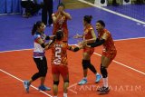 Pebola voli putri tim Jakarta PGN Popsivo Polwan melakukan selebrasi usai mengalahkan tim voli putri  Gresik Petrokimia dalam pertandingan Proliga 2017 Seri I Putaran I di GOR Ken Arok, Malang, Jawa Timur, Minggu (29/1). Tim voli putri Jakarta PGN Popsivo Polwan mengalahkan tim voli putri Gresik Petrokimia dengan skor akhir 3-2 (25-12, 17-25, 25-13,10-25,15-10). Antara Jatim/Ari Bowo Sucipto/zk/17