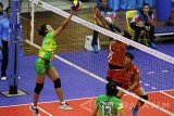 Pebola voli putri tim Gresik Petrokimia Novi Merliliyana (kiri) melakukan smash yang berusaha ditahan pebola voli putri tim Jakarta PGN Popsivo Polwan Yokbeth Kapasiang (kanan) dalam pertandingan Proliga 2017 Seri I Putaran I di GOR Ken Arok, Malang, Jawa Timur, Minggu (29/1). Tim voli putri Jakarta PGN Popsivo Polwan mengalahkan tim voli putri Gresik Petrokimia dengan skor akhir 3-2 (25-12, 17-25, 25-13,10-25,15-10). Antara Jatim/Ari Bowo Sucipto/zk/17