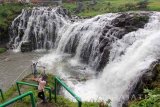 Wisatawan berfoto selfie dengan latar belakang air terjun Belawan, Bondowoso, Jawa Timur, Jumat (27/1). Air terjun yang berada di kawasan perkebunan kopi Belawan tersebut, menjadi salah satu destinasi wisata yang sering dikunjungi wisatawan untuk berfoto. Antara Jatim/Budi Candra Setya/zk/17