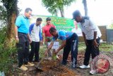 Pemerintah Kabupaten Tanah Laut, Kalimantan Selatan melaksanakan pencanangan penanaman pohon serentak di 13 kabupaten/kota se- Kalimantan Selatan, di halaman Kantor Bupati setempat dan hutan jati lingkungan belakang Kantor SetdaKab Tanah Laut, Jumat (3/2). Foto:Antaranews Kalsel/Arianto/G.