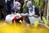 Petugas mengisi data laporan hasil pemeriksaan forensik atas jenazah taruna Akademi Teknik Keselamatan Penerbangan (ATKP) Makasar, Ari Pratama di pemakaman umum Desa Tegaren, Trenggalek, Jawa Timur, Rabu (8/2). Pemeriksaan forensik dilakukan tim Puslabfor Mabes Polri Perwakilan Surabaya untuk mengetahui penyebab pasti meninggalnya taruna Ari Pratama yang sebelumnya dilaporkan tewas tenggelam di area wisata pemandian Tirta Yudha, Maros, Sulawesi Selatan pada 19 November 2016. Antara Jatim/Destyan Sujarwoko/zk/17