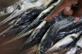 Pembeli memilih ikan di Pasar Ikan Pabean, Surabaya, Jawa Timur, Selasa (7/2). Beberapa jenis ikan hasil laut mengalami kenaikan harga di pasar tersebut seperti ikan Mubara dari harga Rp26.000 per kilogram menjadi Rp35.000 per kilogram serta ikan Kakap dari harga Rp25.000 per kilogram menjadi sekitar Rp45.000 per kilogram, hal ini disebabkan pasokan ikan dari daerah penghasil menurun dikarenakan cuaca yang tidak mendukung saat nelayan mencari ikan. Antara Jatim/Didik Suhartono/zk/17